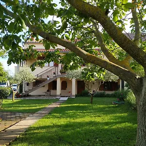 Dado Porec